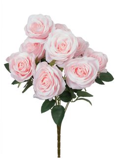 a bouquet of pink roses on a white background