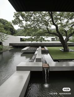 a water feature in the middle of a pond with trees and grass on both sides