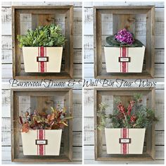 four different pictures of some plants in a wooden box with red and white stripes on them