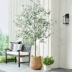 a white couch sitting next to a small tree in a living room filled with furniture