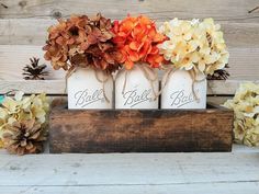 three mason jars with flowers in them are sitting on a wooden shelf next to pine cones