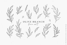 olive branch hand drawn set on white background