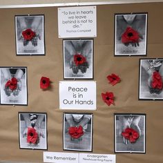 a bulletin board with red poppies on it that says peace is in our hands