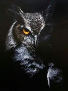 an oil painting of an owl's face with yellow eyes and black background,