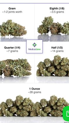 the different stages of growing marijuanas on an iphone screen, with text below it