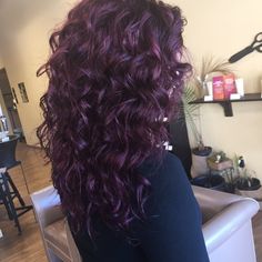 Dark Plum Hair Curly, Deep Purple Hair With Highlights, Plum Dyed Hair, Purple Hair Plum, Curly Purple Hair Highlights, Plum Purple Curly Hair