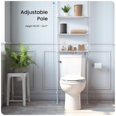 a white toilet sitting in a bathroom next to a shelf filled with plants and other items