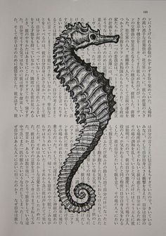 an ink drawing of a seahorse on top of a book page with japanese writing