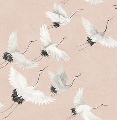 Windsong Pink Bird Wallpaper White Crane, A Street Prints, Drops Patterns, Crane Bird, Bird Wallpaper, Pink Bird, Peel Stick Wallpaper, Bird Patterns, Burke Decor