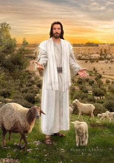 jesus standing in the grass with his hands out and sheep around him on a hillside