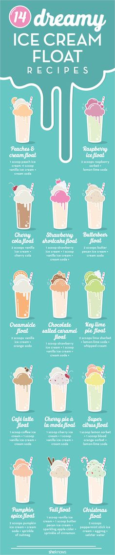 an info sheet with different types of ice creams on it's sides and the words dreamy ice cream floats above them