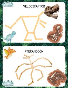 the differences between velocirapt and ptenodon