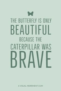 the butterfly is only beautiful because the caterpillar was brave - a visual merriment