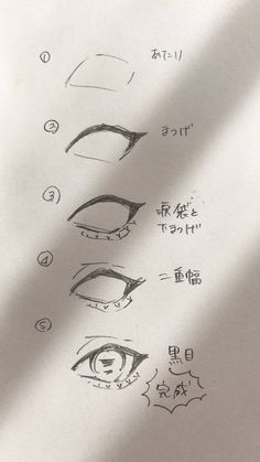 an image of different types of eyes drawn on paper