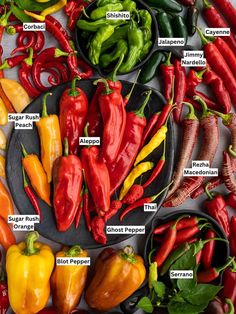 an array of peppers on a plate with names in english and spanish, all labeled