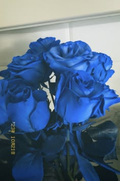 blue roses in a vase on a table