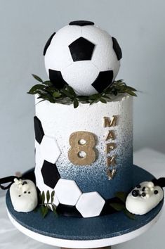 a soccer themed birthday cake with fondant balls and greenery on the top tier