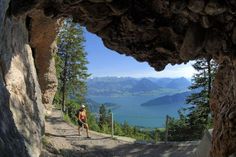 a person is running down a trail near the water and mountains in the distance with trees on either side