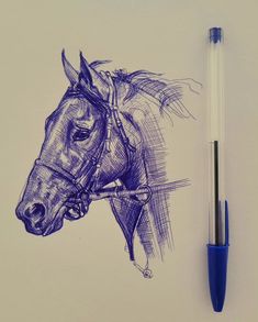 a drawing of a horse with a bridle on it's head is shown next to a pen