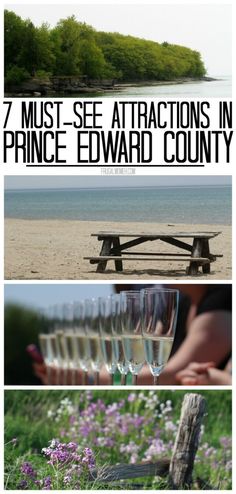 wine glasses sitting on top of a wooden bench next to the ocean and flowers with text overlay that reads 7 must - see attractions in prince edward county