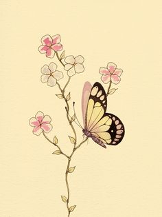 a butterfly sitting on top of a pink flower next to a branch with white flowers