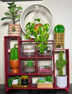 a shelf filled with potted plants on top of a wooden table