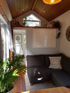 a living room filled with furniture and a large plant next to a wall mounted tv