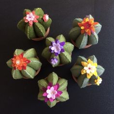 six small flower potted plants sitting on top of a table