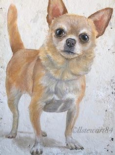 a painting of a small dog on a white background