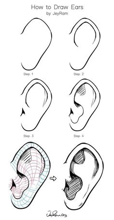 how to draw ears with different shapes and sizes, including the ear area for each child's head