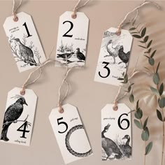 four tags with numbers and birds on them