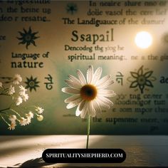 a white flower sitting on top of a wooden table next to a wall with words