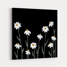 white daisies against a black background canvas wall art print