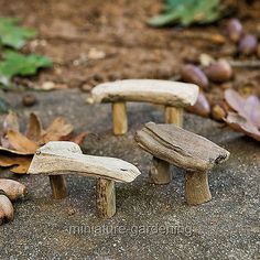 three small wooden benches sitting on top of a cement ground next to leaves and acorns