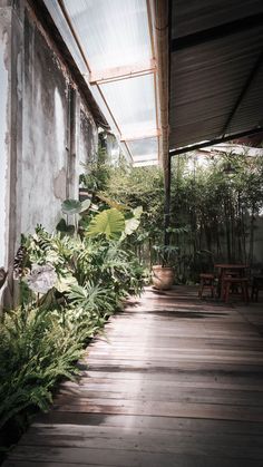 an outdoor area with lots of plants and benches