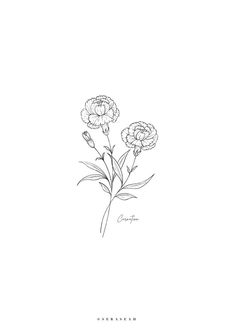 two flowers on a white background with the word congratulations written in black and white ink