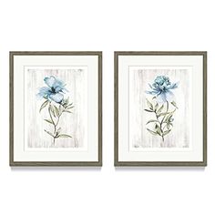 two framed pictures with blue flowers on them