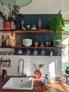 the kitchen counter is covered with pots and pans, plants, and other items