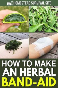 An herbal band-aid is an affordable and effective way to treat injuries like small cuts, minor burns, sunburned skin, and more. Natural Medicine Recipes, Sunburn Skin, Herbal Apothecary, Natural Healing Remedies, Herbal Healing, Natural Health Remedies, Healing Herbs, Natural Home Remedies, Medicinal Herbs