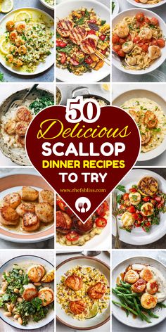 the top 50 delicious scallop dinner recipes to try in this post - meal