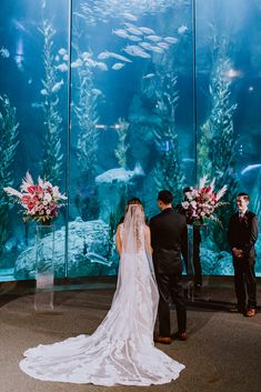 a bride and groom standing in front of an aquarium