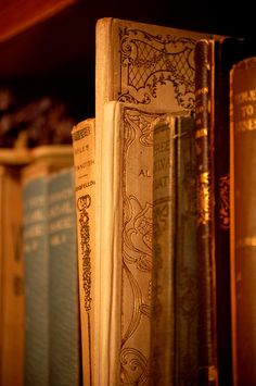 several books are lined up on a shelf