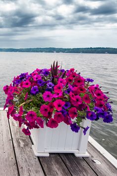 purple and pink flowers in a white container on a wooden dock by the water with dark clouds