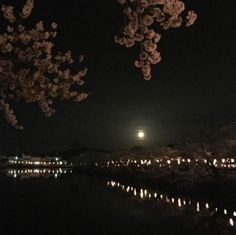 the full moon is seen in the dark sky over water and trees with lights on them