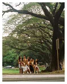 a group of women sitting on a bench under a large tree