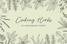 cooking herbs hand - drawn plants