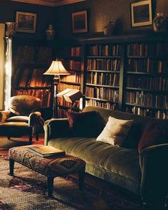 a living room filled with furniture and bookshelves