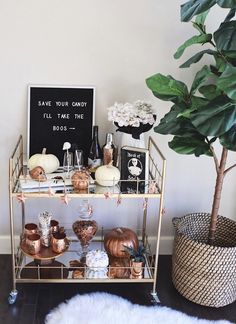 a metal shelf filled with lots of items next to a potted plant and a sign