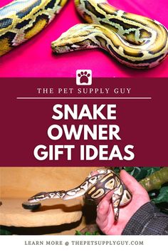 Snake Owner Gift Ideas Snake Gift, Gift For A Friend, A Snake, Clothing Apparel