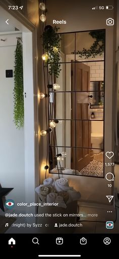 an image of a mirror with lights in the room and plants growing on the wall